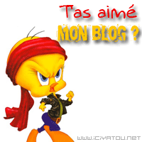 Laisser des com'zzzzzzzz