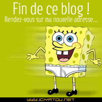 Fin de blog