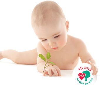 Bébé