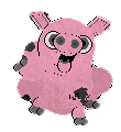 cochon