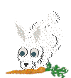 lapin